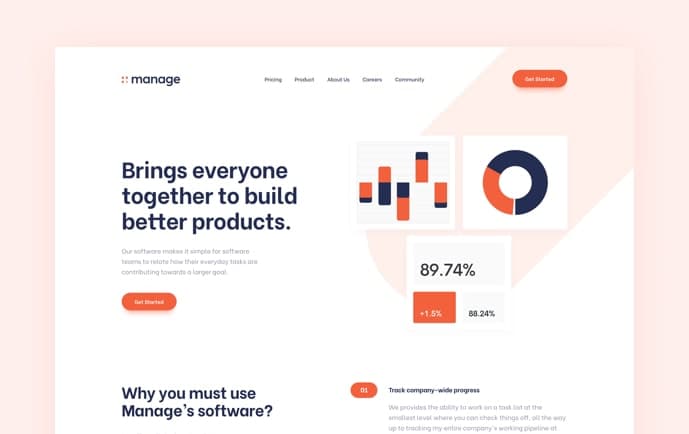 A preview image of the Manage project